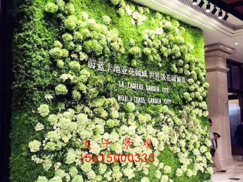 點(diǎn)擊查看詳細(xì)信息<br>標(biāo)題：綠植墻 閱讀次數(shù)：2003