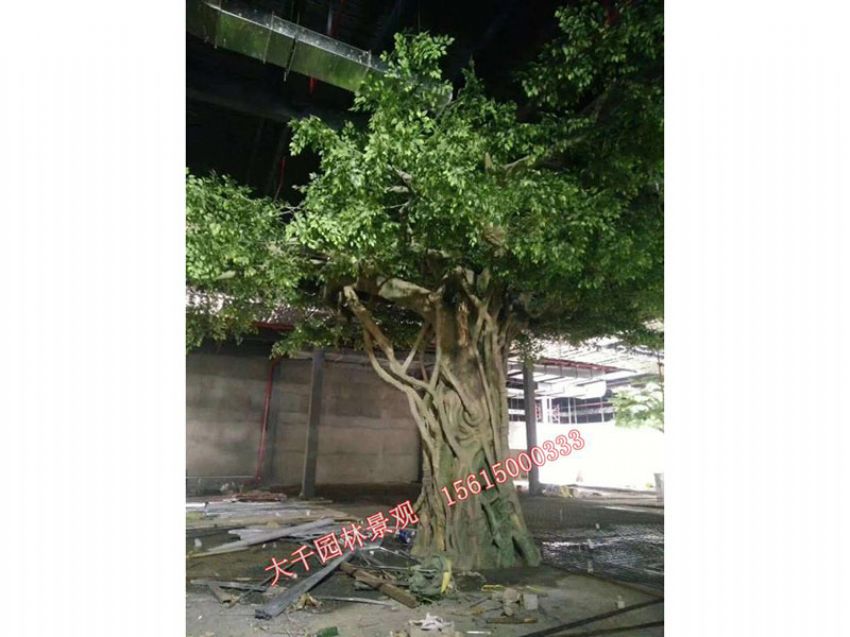 點(diǎn)擊查看詳細(xì)信息<br>標(biāo)題：假樹(shù) 閱讀次數(shù)：2394